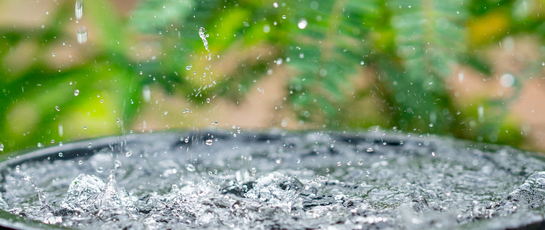 Reclaim the Rain: Rainwater Harvesting & Emergency Water Preparedness